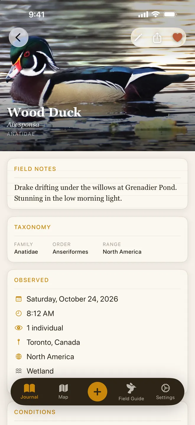 A Wood Duck sighting in First Feather with its photo, notes and location